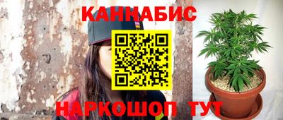 крисы Краснознаменск