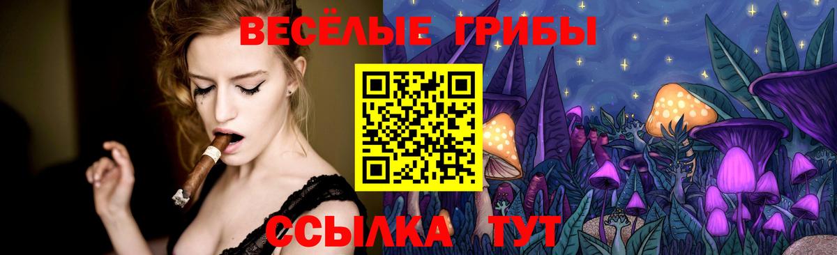 Галлюциногенные грибы мицелий Корсаков